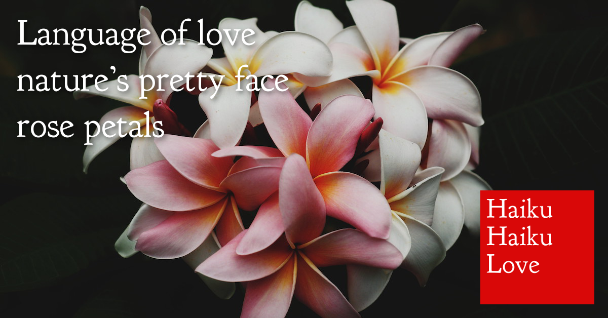 Language of love · Haiku Haiku Love