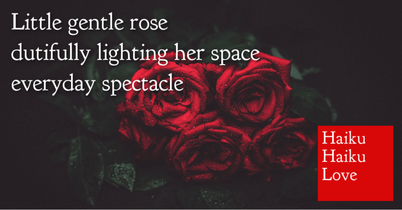 Little gentle rose