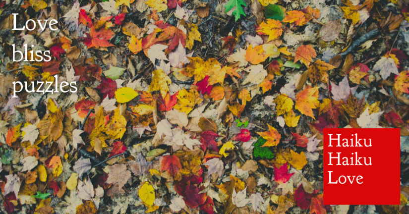 Love · Haiku Haiku Love