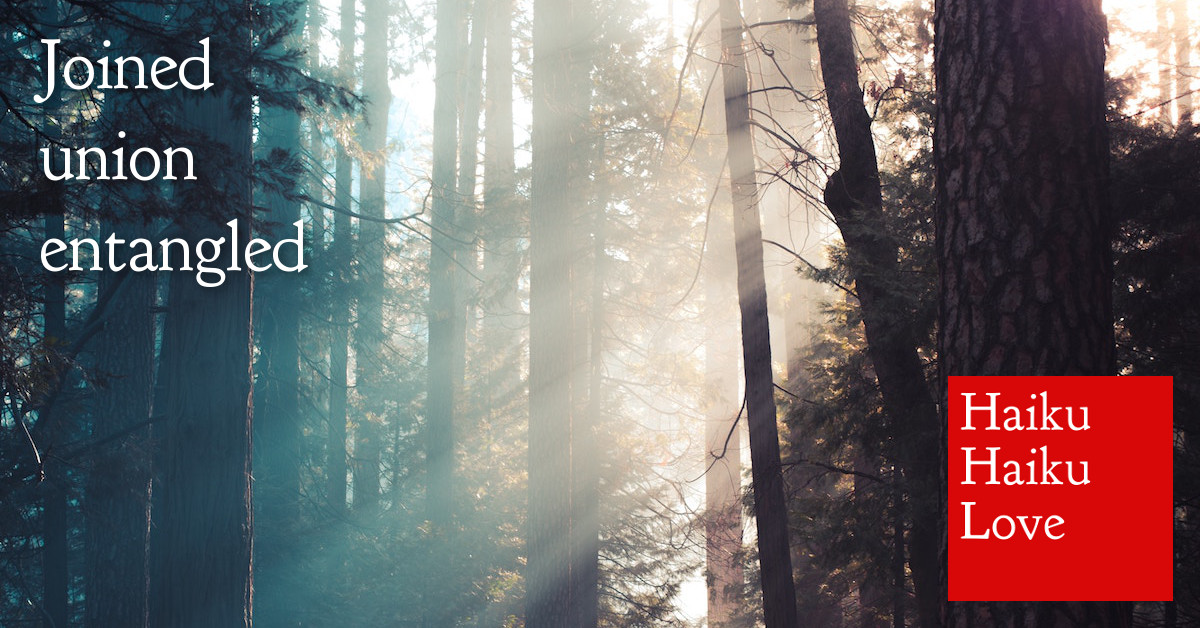 Joined · Haiku Haiku Love