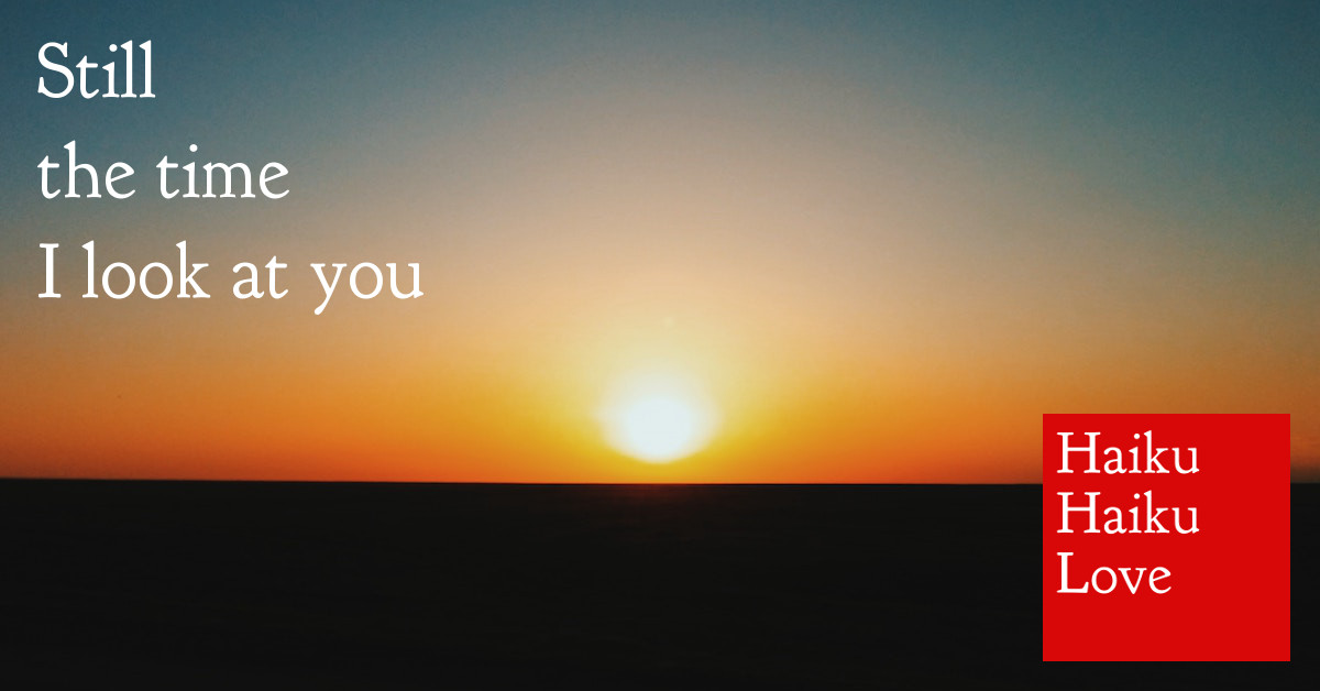 Still · Haiku Haiku Love