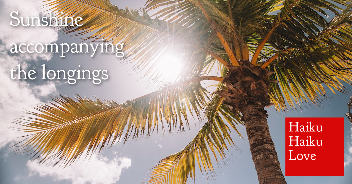 Haiku Haiku Love · Page 3 of 84 · A love poem a day (or so) ♥